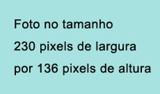 Denominação do órgão